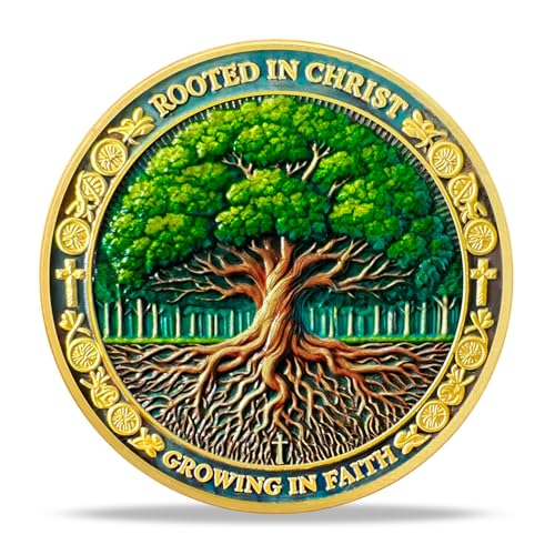 RYUKENLM Growing in Faith Christliche Herausforderung Münze Kolosser 2:6-7 Bibelvers Token Christliche Münzen mit Kreuz inspirierendes christliches Geschenk für Männer Frauen von RYUKENLM