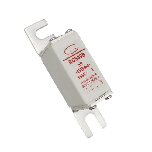 RYVEWZOOE RGS30B 690V schnelle Sicherung 50A 63A 80A 100A 125A 160A(RGS30B-63A) von RYVEWZOOE