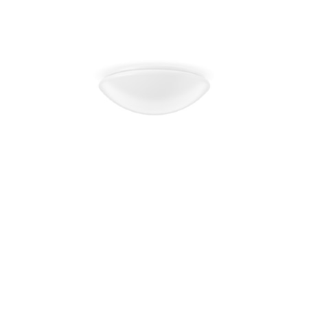 311943.002.3  - LED-Wand-Deckenleuchte 4000K, 311943.002.3 von RZB