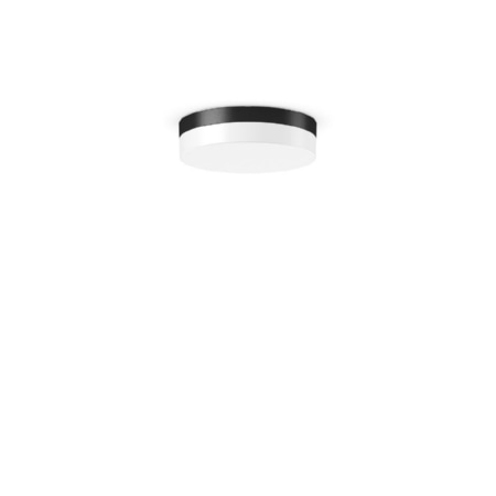 312135.0031.1.76 - LED-Wand- und Deckenleuchte DALI 4000K, 312135.0031.1.76 312135.0031.1.76 - LED-Wand- und Deckenleuchte DALI 4000K, 312135.0031.1.76 von RZB