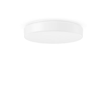 312242.002.3 - LED-Wand-Deckenleuchte 4000K 312242.002.3 312242.002.3 - LED-Wand-Deckenleuchte 4000K 312242.002.3 von RZB