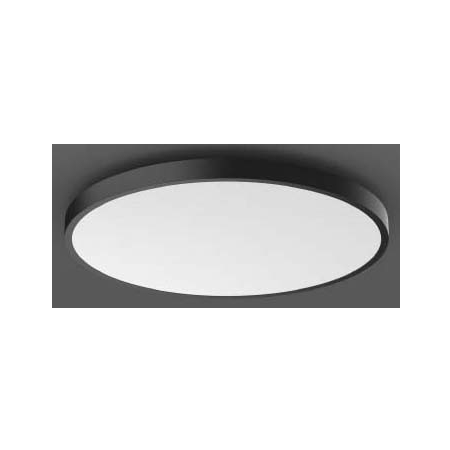 312300.0031.2.76  - LED-Wand-/Deckenleuchte DALI, anthr. 312300.0031.2.76 von RZB