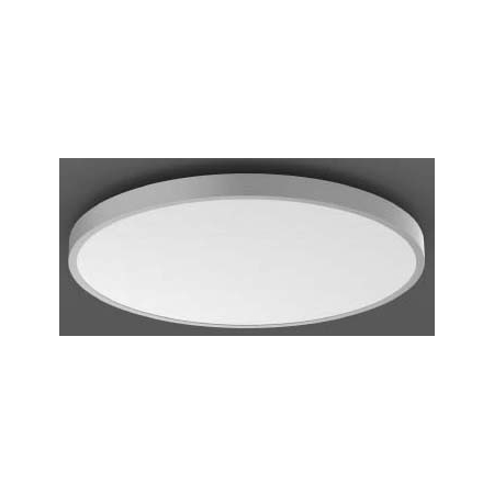 312300.004.2.76  - LED-Wand-/Deckenleuchte DALI silber 312300.004.2.76 von RZB