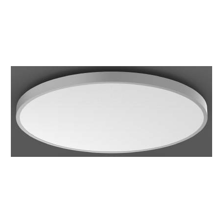 312303.004.2.76  - LED-Wand-/Deckenleuchte DALI silber 312303.004.2.76 von RZB