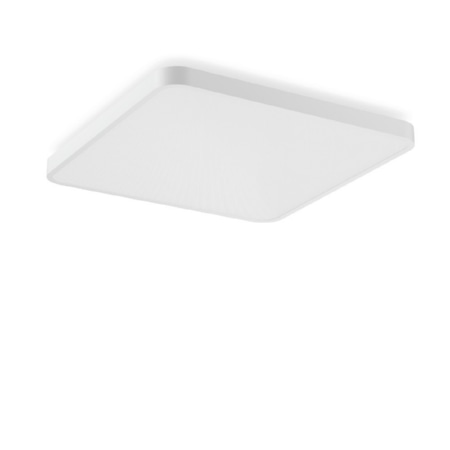 312445.002.1.76 - LED-Wand-und Deckenleuchte 840, DALI, weiß 312445.002.1.76 312445.002.1.76 - LED-Wand-und Deckenleuchte 840, DALI, weiß 312445.002.1.76 von RZB