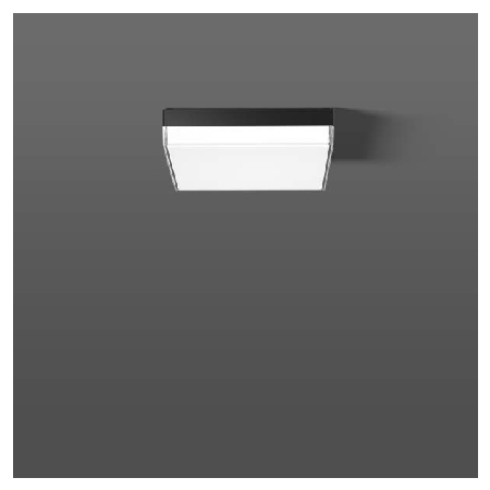 312538.0031.76  - LED-Wand-/Deckenleuchte 830/840, DALI 312538.0031.76 von RZB