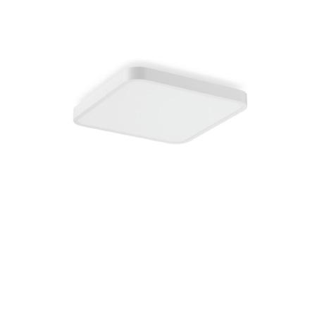 312653.002.1.76 - LED-Wand-und Deckenleuchte 840, DALI, weiß 312653.002.1.76 312653.002.1.76 - LED-Wand-und Deckenleuchte 840, DALI, weiß 312653.002.1.76 von RZB