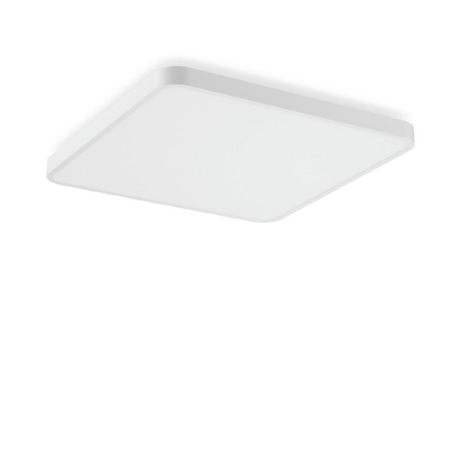 312662.002.1.76 - LED-Wand-und Deckenleuchte 840, DALI, weiß 312662.002.1.76 312662.002.1.76 - LED-Wand-und Deckenleuchte 840, DALI, weiß 312662.002.1.76 von RZB