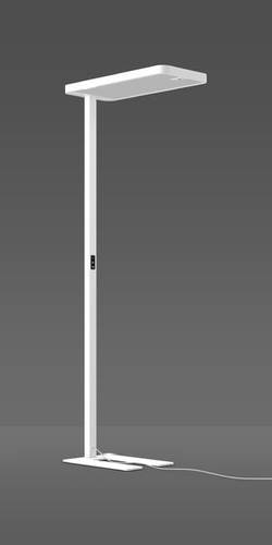 RZB 312398.002.1.19 LED-Stehlampe RZB 312398.002.1.19 LED-Stehlampe von RZB