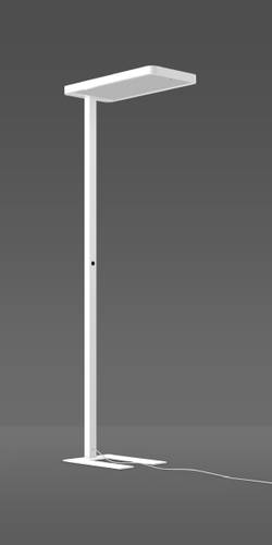 RZB 312562.002.1.19 LED-Stehlampe RZB 312562.002.1.19 LED-Stehlampe von RZB