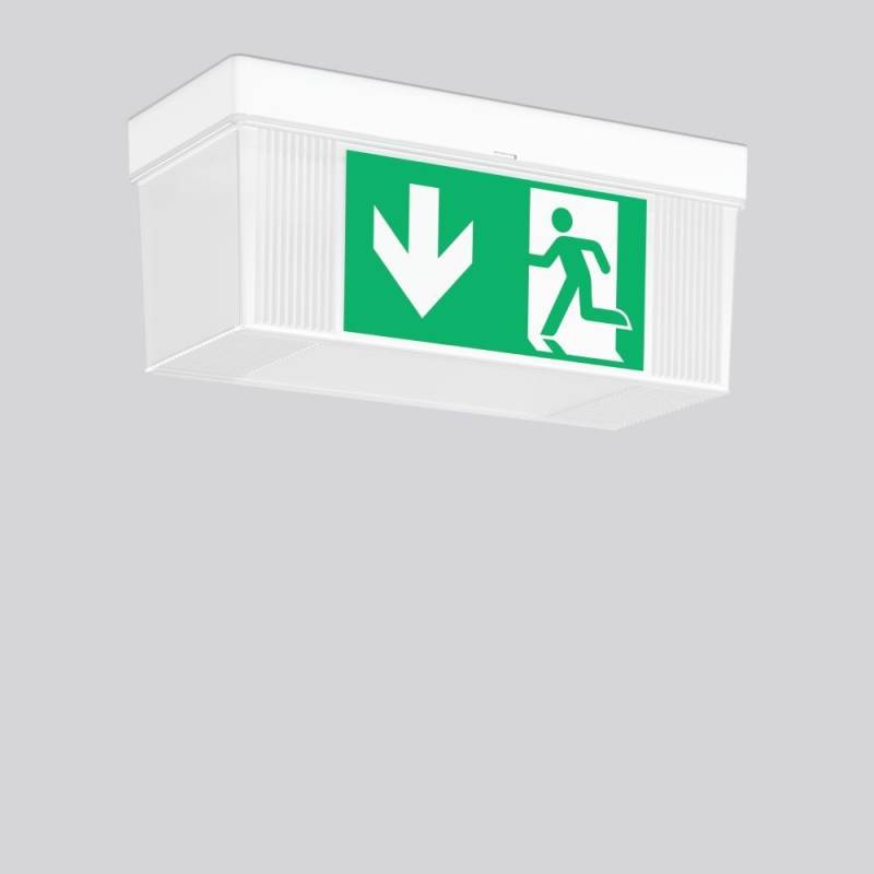 RZB LED-Sicherheitsleuchte 671819.002.2 von RZB