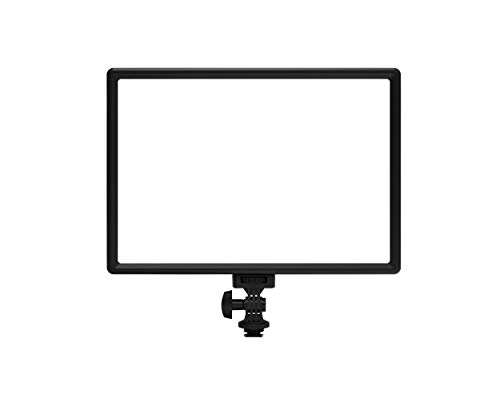 RALENO 116 LED Kamera Video Licht, 12W 600Lux Videoleuchte mit Mini-Stativ und Eingebauter 4000mAh Akku CRI95+ 3200-5600K, USB Videolicht für YouTube TikTok Zoom Fotografie Konferenzen Live-Streaming RALENO 116 LED Kamera Video Licht, 12W 600Lux Videoleuchte mit Mini-Stativ und Eingebauter 4000mAh Akku CRI95+ 3200-5600K, USB Videolicht für YouTube TikTok Zoom Fotografie Konferenzen Live-Streaming von RaLeno