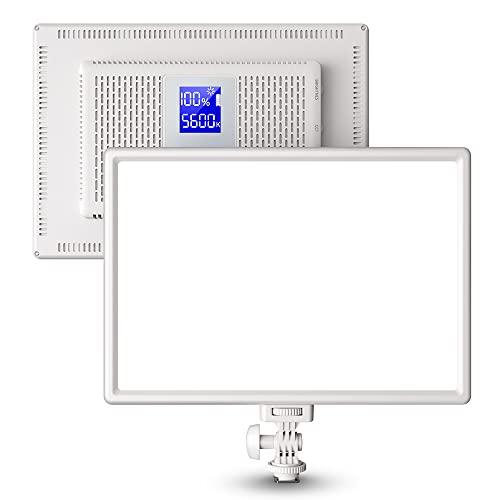 RALENO LED Videoleuchte, eingebauter 4000 mAh * 2 Akku 3200-5600 K CRI95 0-100% Helligkeitseinstellung am Kameralicht, für Vlog-Beleuchtung, Videokonferenzen, YouTube-Studiofotografie RALENO LED Videoleuchte, eingebauter 4000 mAh * 2 Akku 3200-5600 K CRI95 0-100% Helligkeitseinstellung am Kameralicht, für Vlog-Beleuchtung, Videokonferenzen, YouTube-Studiofotografie von RaLeno