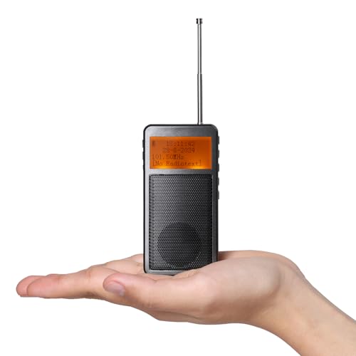 Raddy RF205 Tragbares FM Radio, Taschen-Mini-Radio mit BT 5,3 Verbindung, FM-zu-BT-Signalausgang, MP3-Musikplayer-Lautsprecher batteriebetrieben, Typ-C Aufladung, Wecker, Grau Raddy RF205 Tragbares FM Radio, Taschen-Mini-Radio mit BT 5,3 Verbindung, FM-zu-BT-Signalausgang, MP3-Musikplayer-Lautsprecher batteriebetrieben, Typ-C Aufladung, Wecker, Grau von Raddy