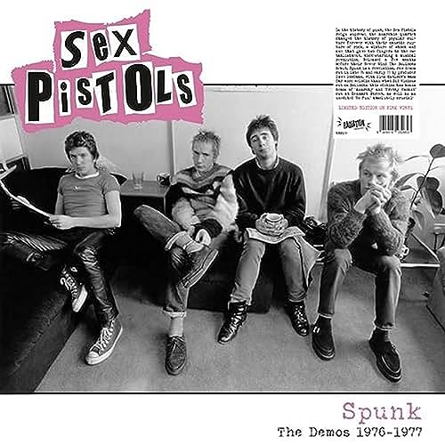 Spunk: the Demos 1976-1977 von Radiation