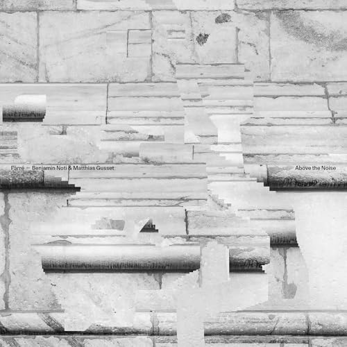 Above the Noise [Vinyl LP] von Radicalis Music GmbH