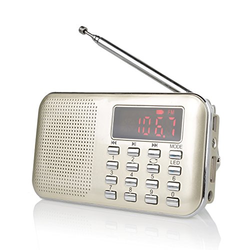 Raddy RF23 tragbar Radio Klein AM/FM Kurzwellenempfänger MP3 Musik Player, unterstützt Mikro USB TF Karte, mit LCD-Anzeige Wecker Externe Antenne und Chargeable Batterie (Gold) von Radioddity