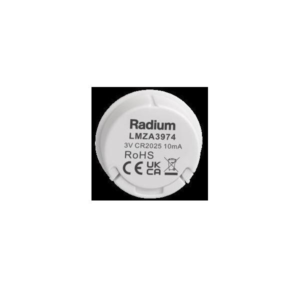 Radium Lampenwerk Fernbedienung LMZA3974 von Radium Lampenwerk