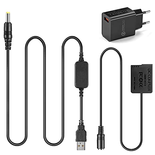 Raeisusp USB-Kabel + DMW-DCC8 BLC12 BLC12E Dummy-Akku für Lumix DMC-GX8 FZ1000 FZ300 FZ200 G7 G6 G5 G80 G81 G85 GH2 GH2K GH2S DC-G90 DC-G91 DC-G95 DC-G99 von Raeisusp