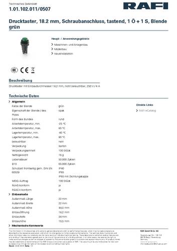 RAFI 1.01.102.011/0507 Drucktaster 250V 2A tastend (L x B x H) 22 x 22 x 44.5mm 1St. von Rafi