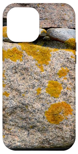 Felsen und Flechten Hülle für iPhone 12 Pro Max von RainFish Graphics