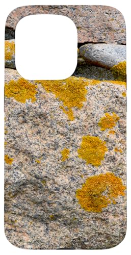 Felsen und Flechten Hülle für iPhone 15 Pro Felsen und Flechten Hülle für iPhone 15 Pro von RainFish Graphics