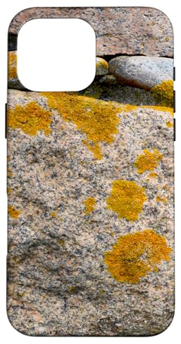 Felsen und Flechten Hülle für iPhone 16 Pro Max von RainFish Graphics