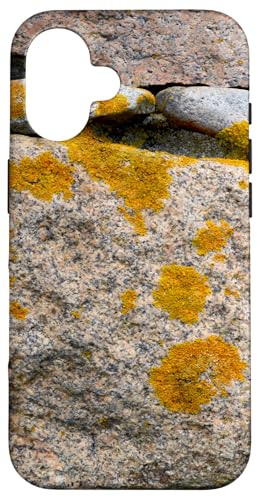 Felsen und Flechten Hülle für iPhone 16 Felsen und Flechten Hülle für iPhone 16 von RainFish Graphics