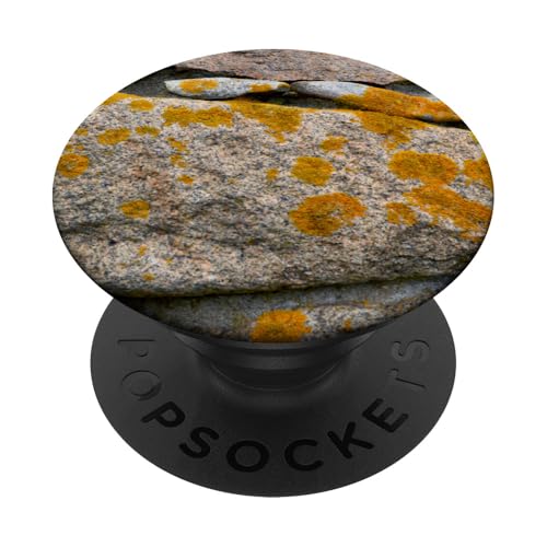Felsen und Flechten PopSockets Klebender PopGrip Felsen und Flechten PopSockets Klebender PopGrip von RainFish Graphics