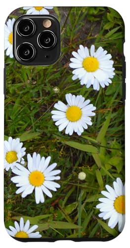 Gänseblümchen Hülle für iPhone 11 Pro von RainFish Graphics