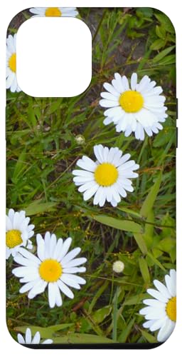 Gänseblümchen Hülle für iPhone 12 Pro Max Gänseblümchen Hülle für iPhone 12 Pro Max von RainFish Graphics