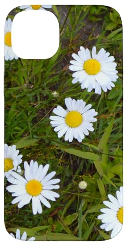 Gänseblümchen Hülle für iPhone 14 Plus Gänseblümchen Hülle für iPhone 14 Plus von RainFish Graphics