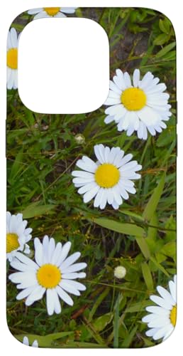 Gänseblümchen Hülle für iPhone 14 Pro von RainFish Graphics