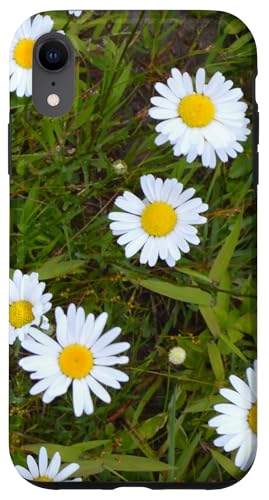 Gänseblümchen Hülle für iPhone XR von RainFish Graphics