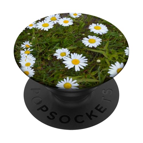 Gänseblümchen PopSockets Klebender PopGrip Gänseblümchen PopSockets Klebender PopGrip von RainFish Graphics