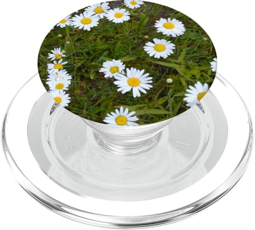 Gänseblümchen PopSockets PopGrip für MagSafe Gänseblümchen PopSockets PopGrip für MagSafe von RainFish Graphics