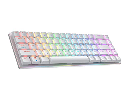 Ranked G65 Guardian 65% | Vollaluminium | Hot-Swap-fähige Mechanische Gaming-Tastatur | 68 Tasten RGB-LED für PC/Mac | QWERTY ANSI US Layout (Weiss, Gateron Low Profile Blue) von Ranked