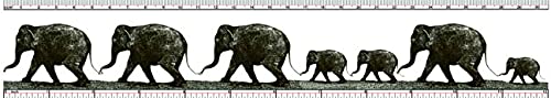 3D-Hologramm-Lineal mit bewegten Bildern | Motiv: Elefanten-Familie | 5,5 cm breit, 30 cm lang | mit Zentimeter und Inch von Rannenberg & Friends