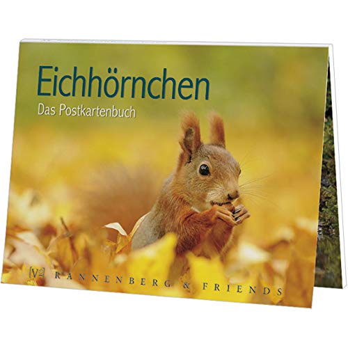 Postkartenbuch Eichhörnchen, Postkarte Ansichtskarte, 15 Karten von Rannenberg & Friends