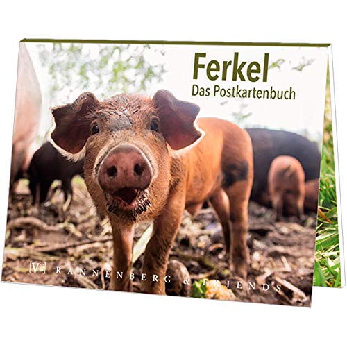 Postkartenbuch FERKEL von Rannenberg & Friends