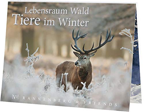 Postkartenbuch Lebensraum Wald Tier im Winter 15 Postkarten Rannenberg & Friends von Rannenberg & Friends