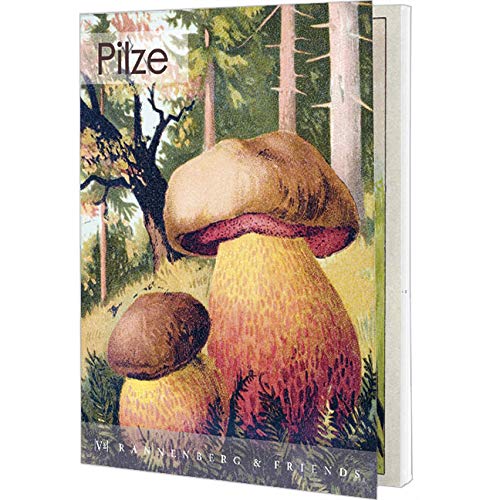 Postkartenbuch Pilze, Postkarte Ansichtskarte, Pilz, Herbst von Rannenberg & Friends