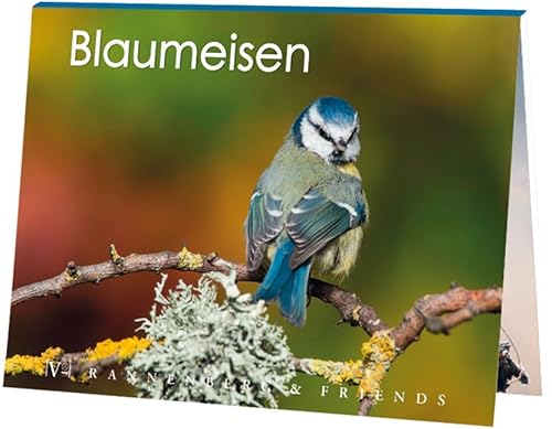 Rannenberg & Friends Postkartenbuch Blaumeisen, 15 Karten, Blaumeise Postkartenbücher Ansichtskarte Postkarte Meise Vogel von Rannenberg & Friends