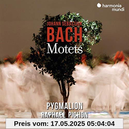 Motetten Motetten von Raphaël Pichon