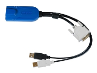 Raritan Digital DVI-D, USB CIM, 0,3 m, USB, USB, DVI-D, Mehrfarbig, Schwarz, RJ-45 von Raritan Computer