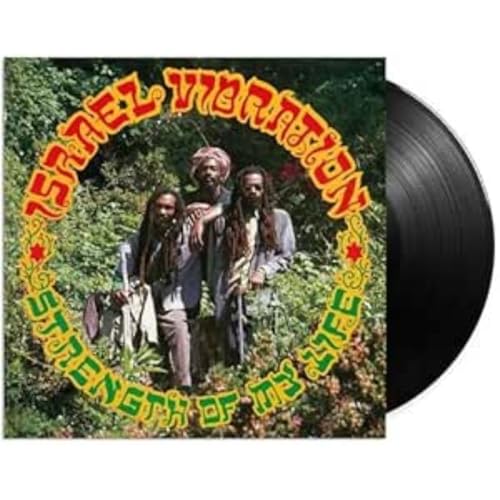Strength of My Life (Remastered) von DIGGERS FACTORY