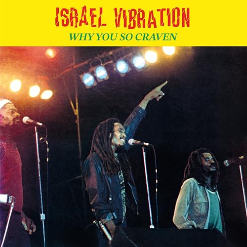 Why You So Craven (Remastered) von DIGGERS FACTORY