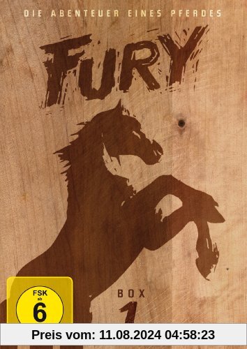 Fury - Box 1 [4 DVDs] von Ray Nazarro