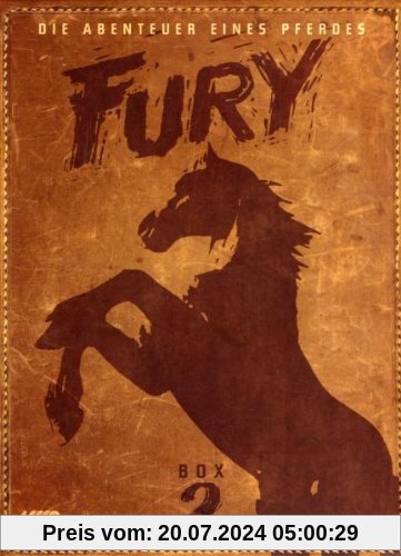 Fury - Box 2 [4 DVDs] von Ray Nazarro