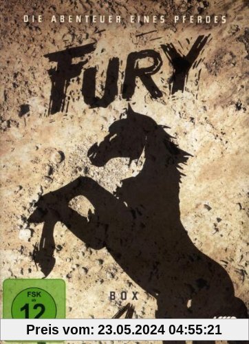 Fury - Box 4 [4 DVDs] von Ray Nazarro
